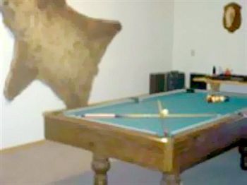 كيناي All Seasons B&B المظهر الخارجي الصورة